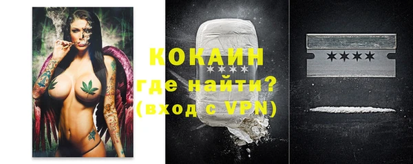 индика Алексеевка